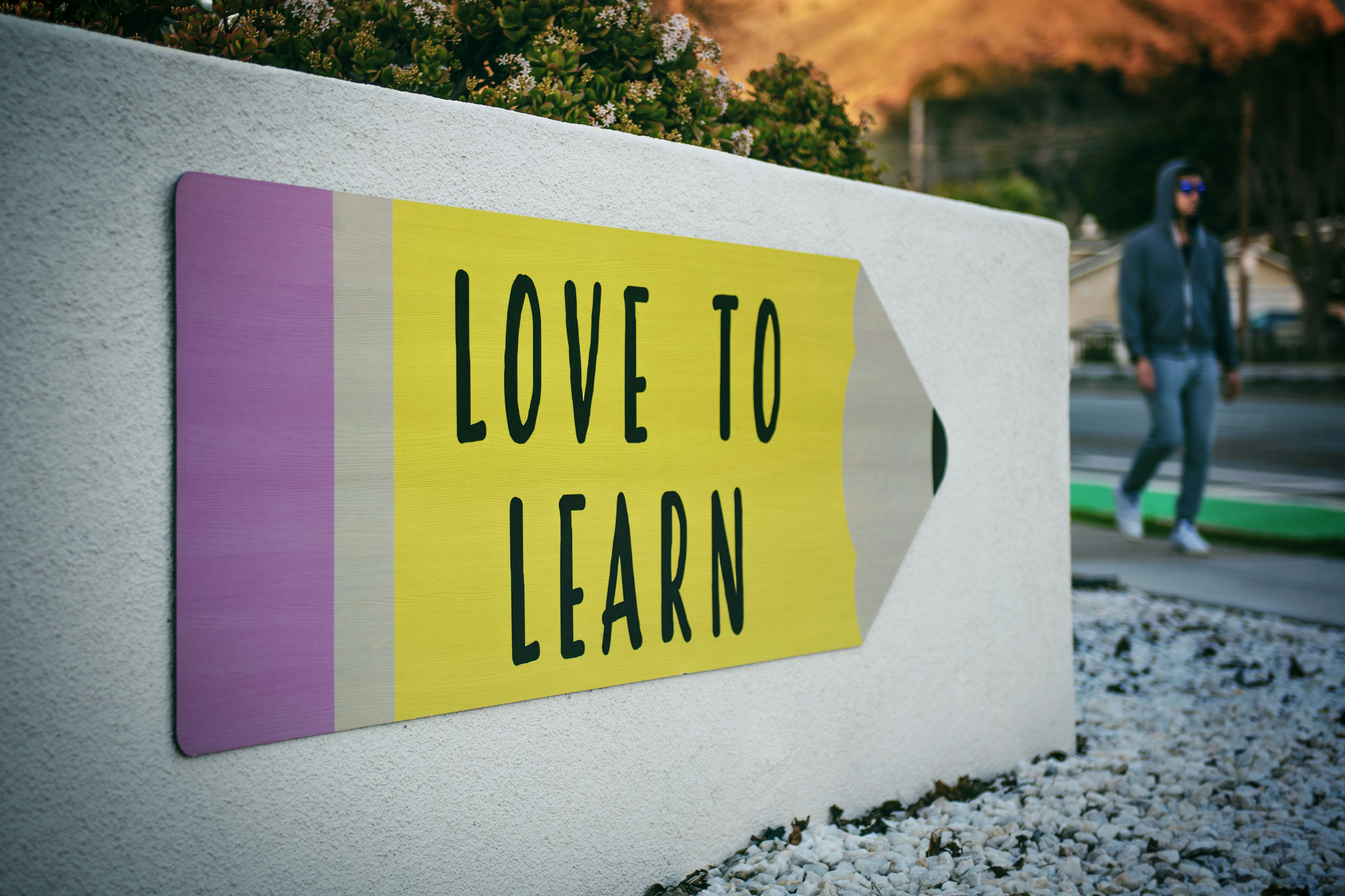 How to Learn a New Language?